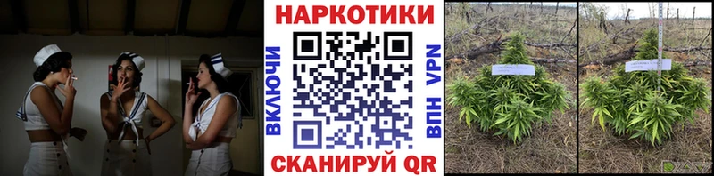 Где можно купить наркотики Новороссийск МАРИХУАНА A-PVP Мефедрон