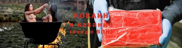 соль ск Алексин