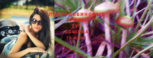 ПСИЛОЦИБИНОВЫЕ ГРИБЫ Арсеньев