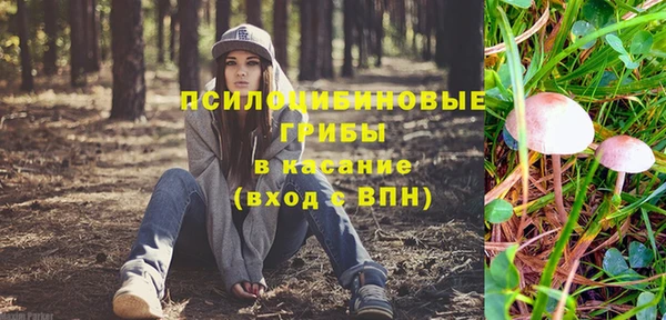 прущий лед Надым