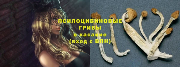метадон Аркадак