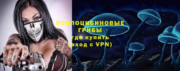 ПСИЛОЦИБИНОВЫЕ ГРИБЫ Арсеньев