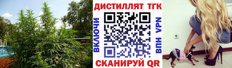 ТГК THC oil  даркнет сайт  Новороссийск 