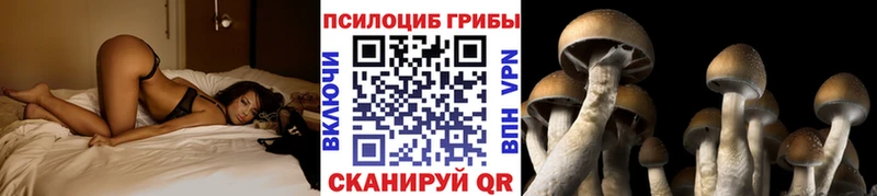 это Telegram  Новороссийск  Галлюциногенные грибы Psilocybine cubensis 