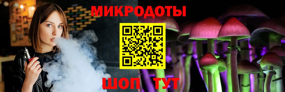 магазин    Вход с VPN  Новороссийск  Псилоцибиновые грибы GOLDEN TEACHER 